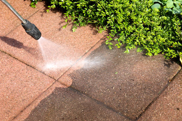 Best Affordable Pressure Washing  in Clifton, IL